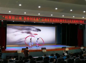 彩云之南喜迎五洲客，多元文化共绘同心圆——云南省首届国际留学生文化交流周开幕